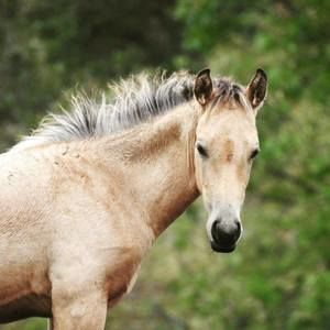 Meet your Posher, Vicki